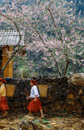 KINH NGHIỆM DU LỊCH HÀ GIANG