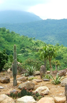 Cuối tuần về với Vườn quốc gia Ba Vì “trốn khói bụi” thành phố